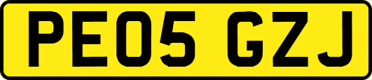 PE05GZJ