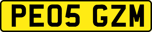 PE05GZM