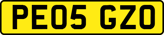 PE05GZO