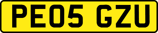 PE05GZU