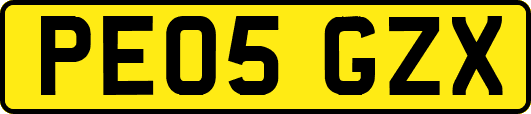 PE05GZX