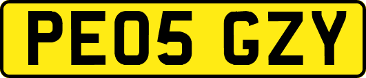 PE05GZY