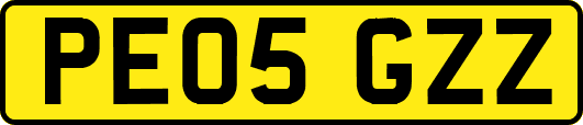 PE05GZZ