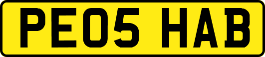 PE05HAB