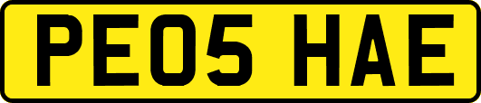 PE05HAE