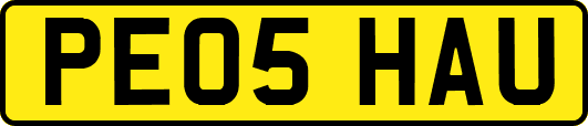 PE05HAU