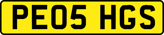 PE05HGS