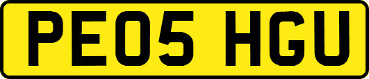 PE05HGU