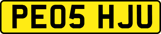 PE05HJU