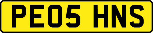 PE05HNS