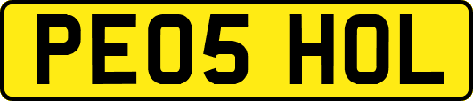 PE05HOL
