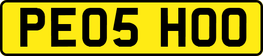 PE05HOO