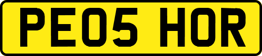 PE05HOR