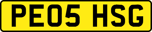 PE05HSG