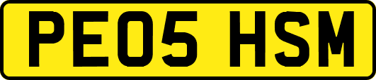 PE05HSM