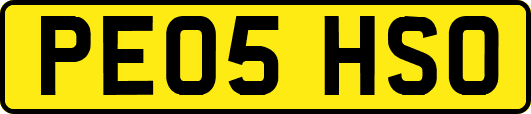 PE05HSO
