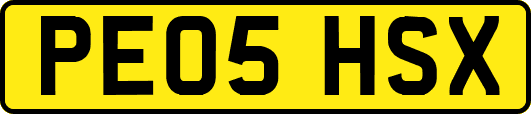 PE05HSX
