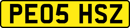 PE05HSZ