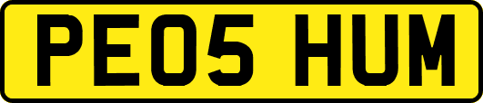PE05HUM