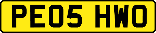 PE05HWO