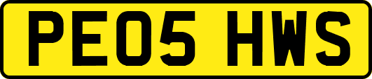 PE05HWS