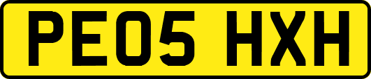 PE05HXH