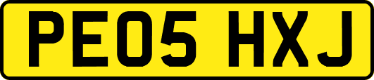 PE05HXJ