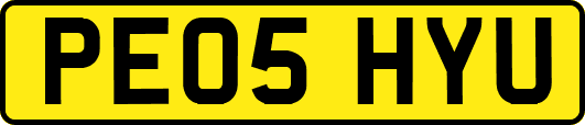 PE05HYU