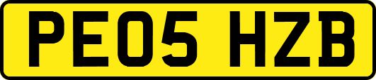 PE05HZB