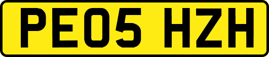 PE05HZH