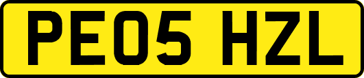 PE05HZL