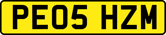 PE05HZM