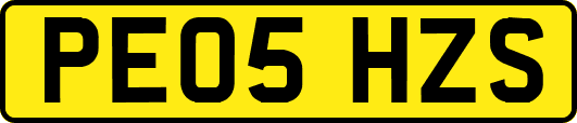 PE05HZS