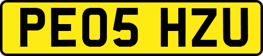 PE05HZU