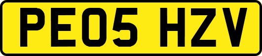 PE05HZV