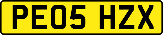PE05HZX