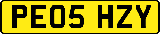 PE05HZY