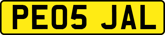PE05JAL