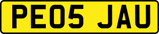 PE05JAU