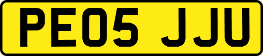 PE05JJU