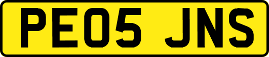 PE05JNS