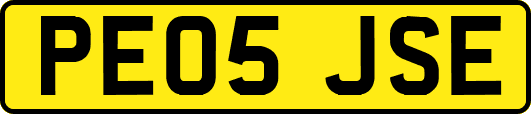 PE05JSE