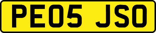 PE05JSO