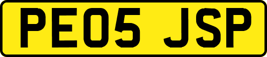 PE05JSP