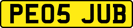 PE05JUB