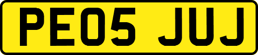 PE05JUJ