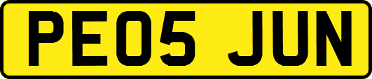 PE05JUN