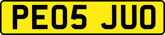 PE05JUO