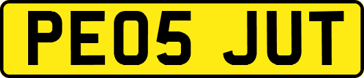 PE05JUT