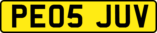 PE05JUV